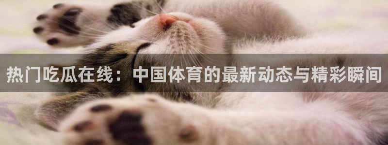 吃瓜新闻