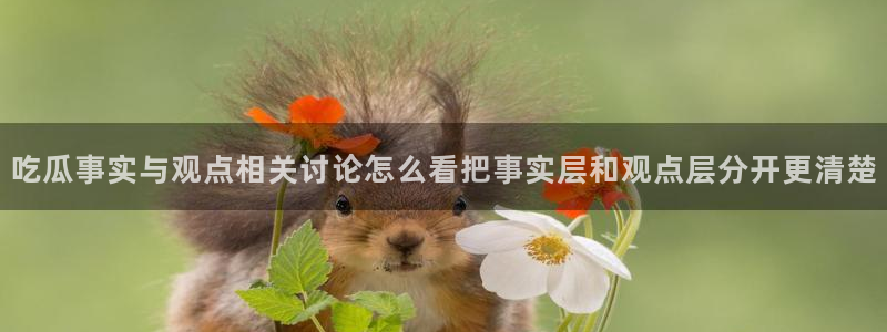 吃瓜最新消息