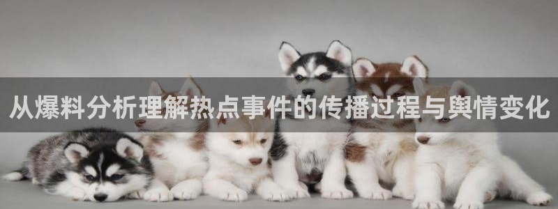 社会热点事件始末