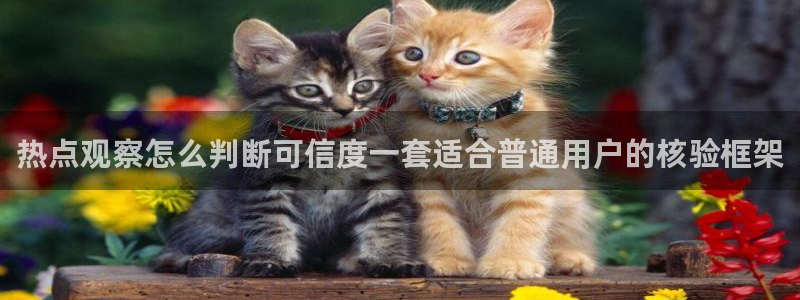 吃瓜爆料来源梳理