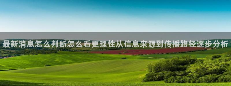 今日吃瓜公开回应