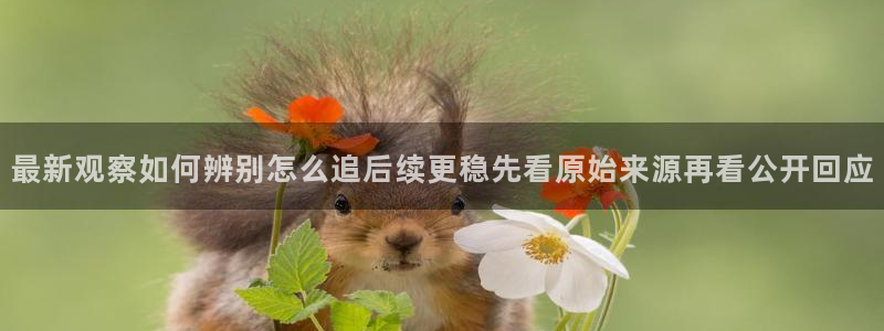 今日吃瓜来源梳理