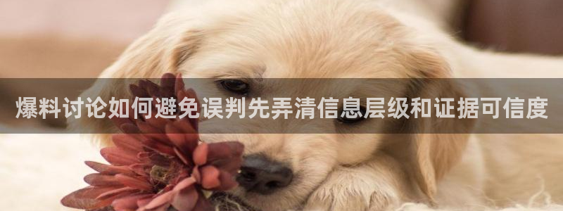 理性吃瓜后续进展