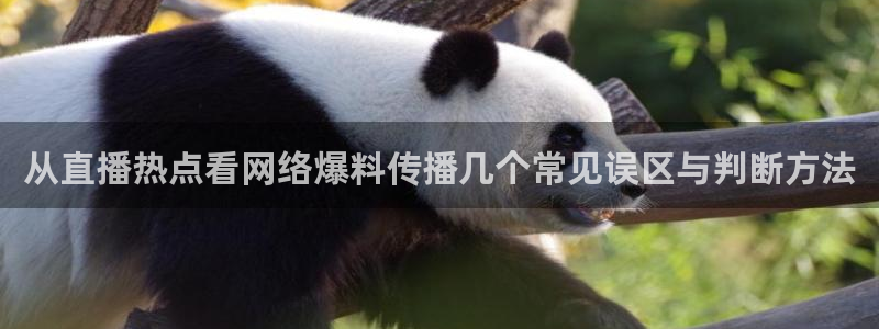 吃瓜